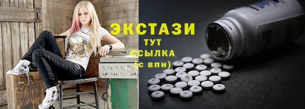 СК Алексин