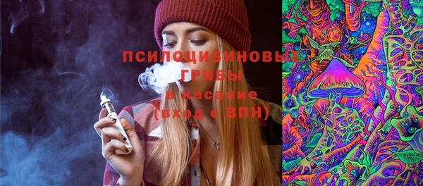 СК Алексин