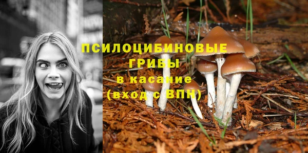 СК Алексин