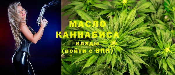 СК Алексин