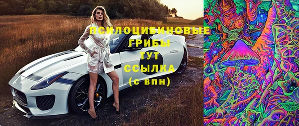 соль ск Алексеевка