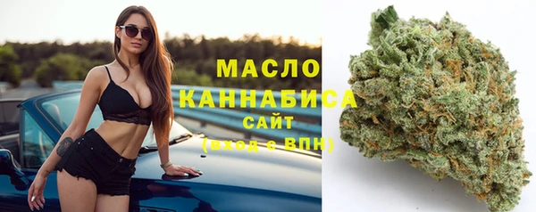 СК Алексин