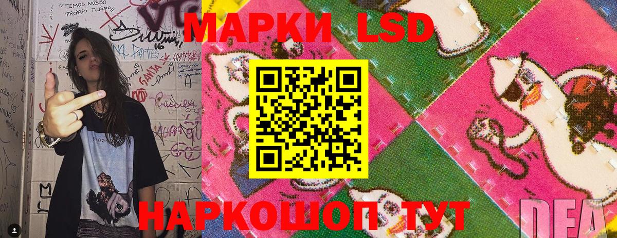 дарнет шоп  Марки NBOMe 1,8мг  Марки NBOMe  Марки NBOMe 1,8мг  Вход с VPN  Кинель 