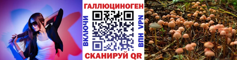 дарнет шоп  OMG ссылки  Псилоцибиновые грибы Psilocybine cubensis  Кинель 