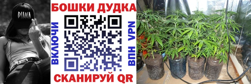 блэк спрут онион  Кинель  Бошки марихуана тримм  купить наркоту 