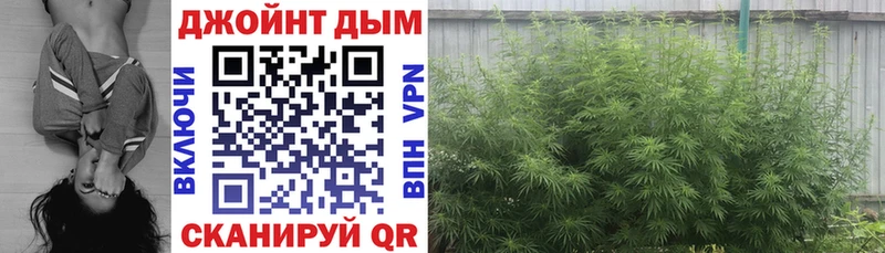 Бошки марихуана Amnesia Кинель